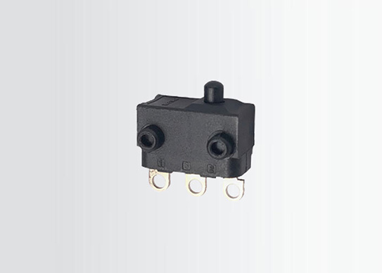 china-micro-switch-12v-2.jpg
