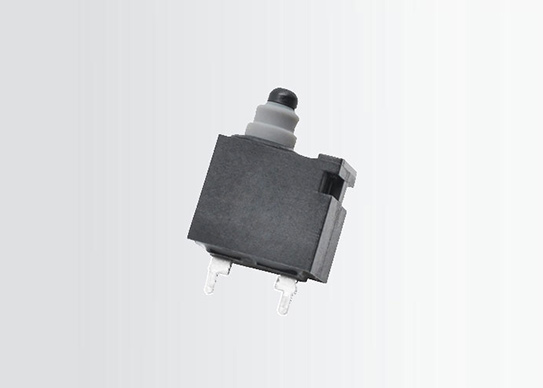 mini waterproof micro switch g304d 9